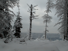 Winterlandschaft 4.jpg